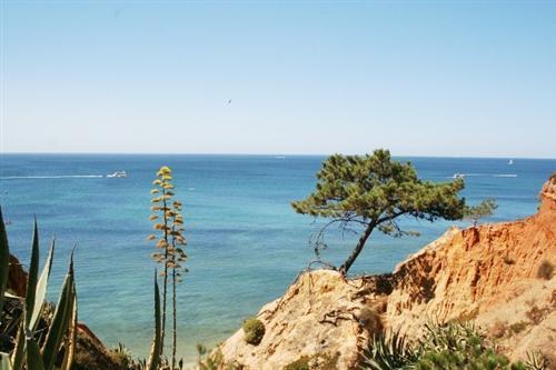Apartamento Almerinda Albufeira Zewnętrze zdjęcie
